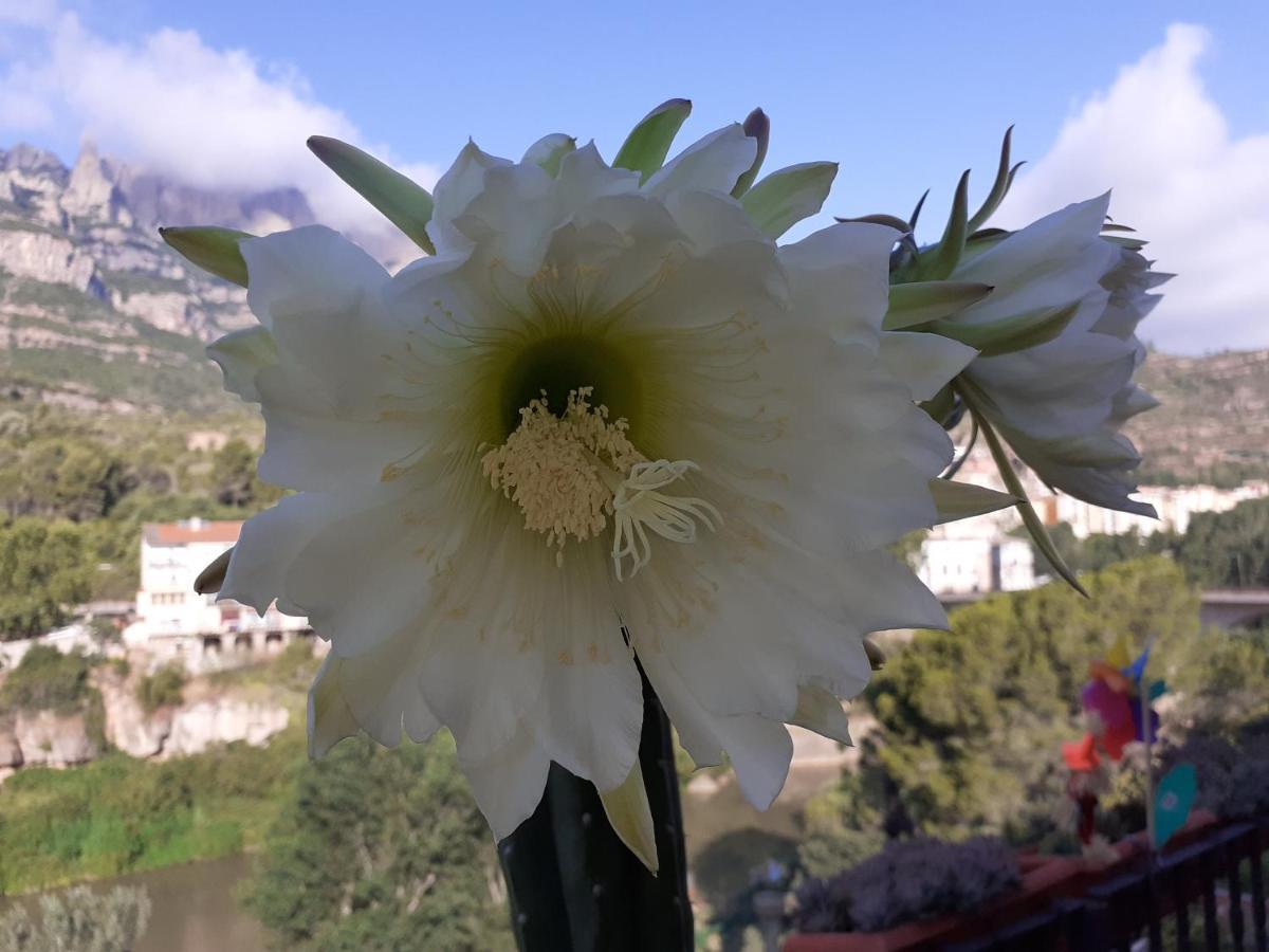 Appartement Piso Con Desayuno Incluido Y Vistas A La Montana. à Monistrol de Montserrat Extérieur photo